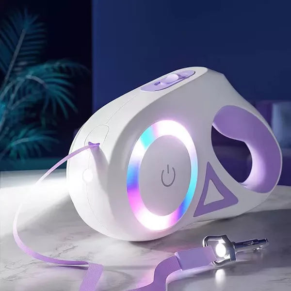 Laisse et collier rétractables pour chien avec réflecteur automatique