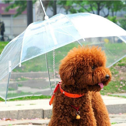 Dog Umbrella