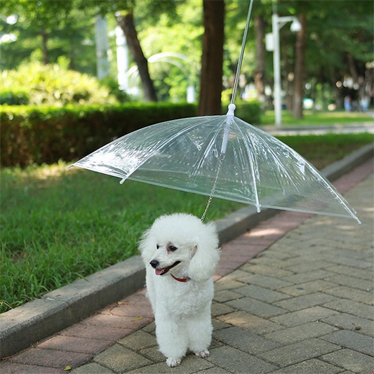 Dog Umbrella