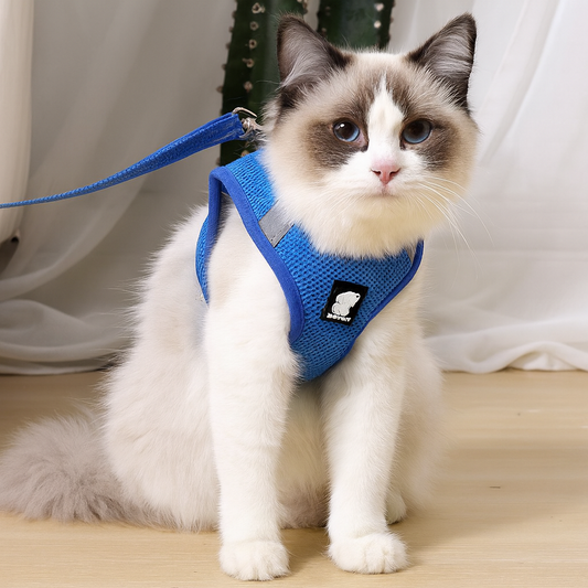 Escape Proof Cat Harness – Adjustable Vest for Safe Outdoor Walks