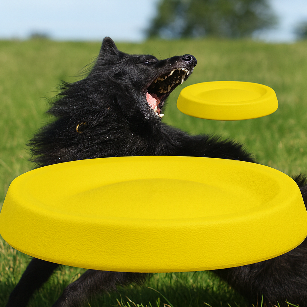 Chew-Resistant Dog Frisbee – Fun Outdoor Training Toy