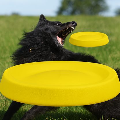 Chew-Resistant Dog Frisbee – Fun Outdoor Training Toy
