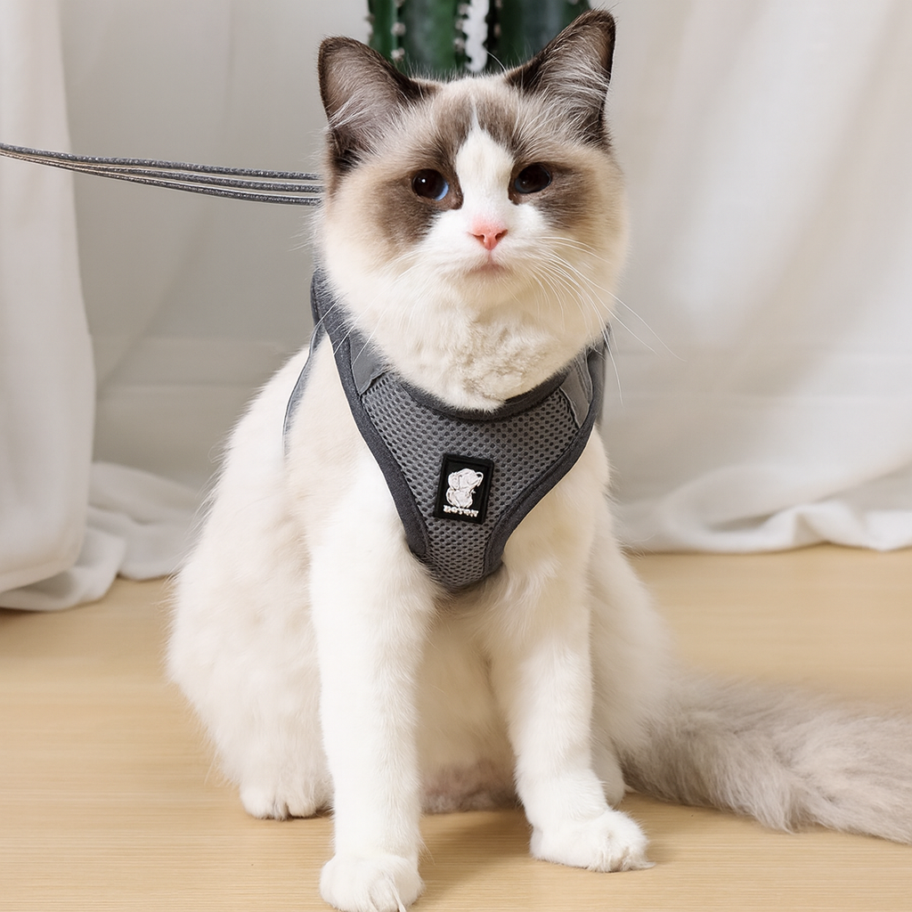 Escape Proof Cat Harness – Adjustable Vest for Safe Outdoor Walks