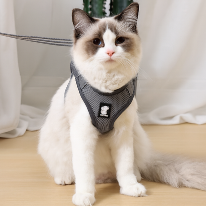 Escape Proof Cat Harness – Adjustable Vest for Safe Outdoor Walks