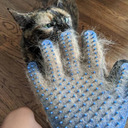Grooming Gloves