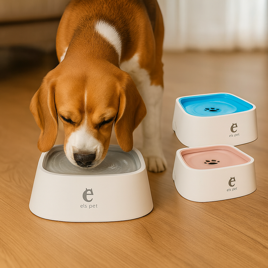 Dog Drinking Water Bowl with Floating Design
