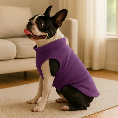 Pet Sweater