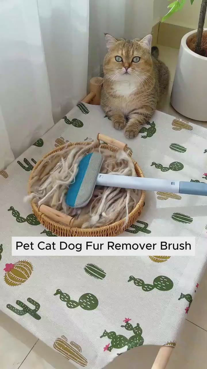 Charger la vidéo : 